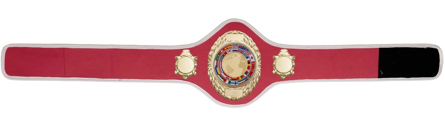 CHAMPIONSHIP BELT PRO286/G/WLDFLAGG - AVAILABLE IN 10+ COLOURS